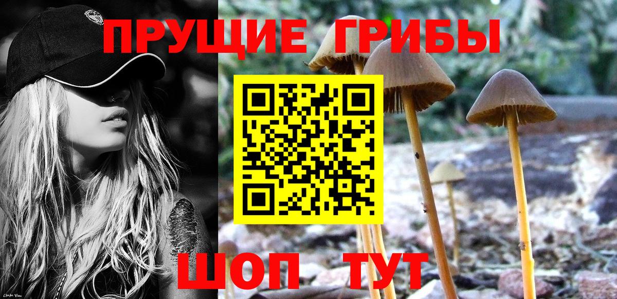 Всеволожск  Галлюциногенные грибы прущие грибы  Вход с VPN  Галлюциногенные грибы мухоморы 