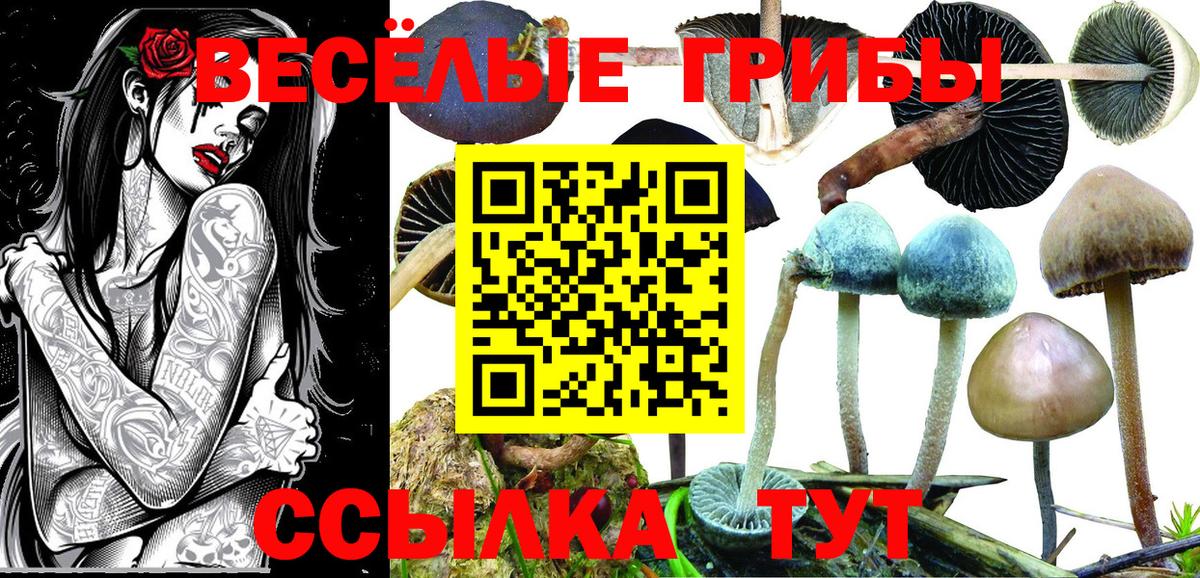Галлюциногенные грибы ЛСД Всеволожск